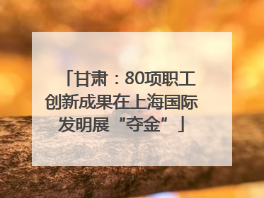 甘肃：80项职工创新成果在上海国际发明展“夺金”